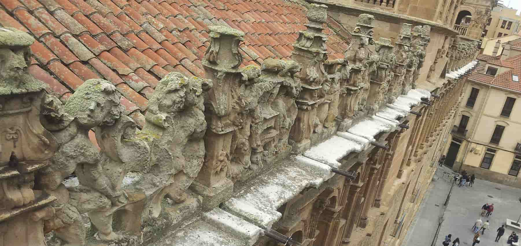 Detalles del Palacio de Monterrey en Salamanca